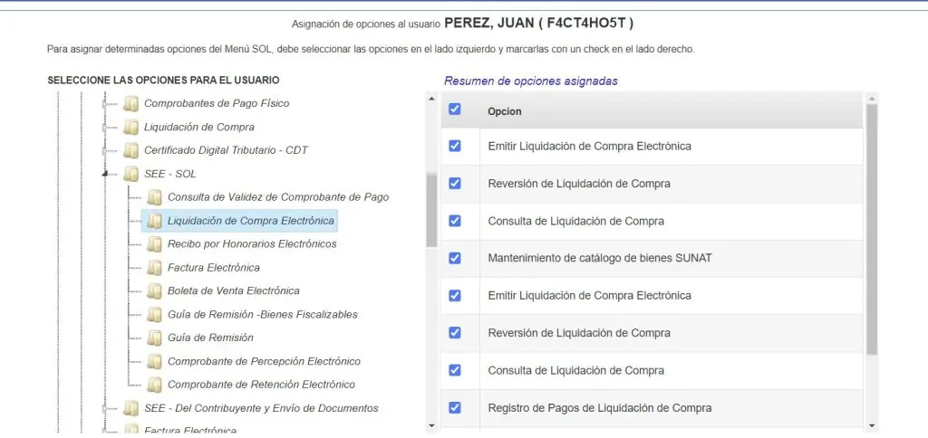Paso 1: Creación de usuario secundario en plataforma SUNAT — captura 9