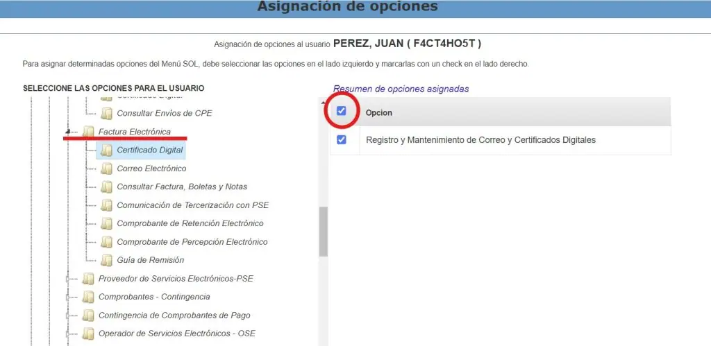 Paso 1: Creación de usuario secundario en plataforma SUNAT — captura 11