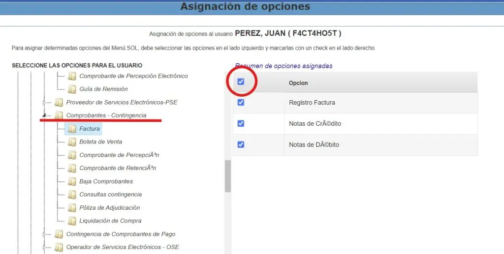 Paso 1: Creación de usuario secundario en plataforma SUNAT — captura 12
