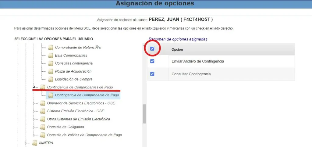 Paso 1: Creación de usuario secundario en plataforma SUNAT — captura 13