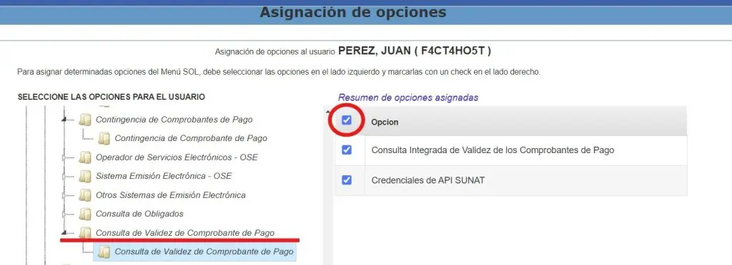 Paso 1: Creación de usuario secundario en plataforma SUNAT — captura 14
