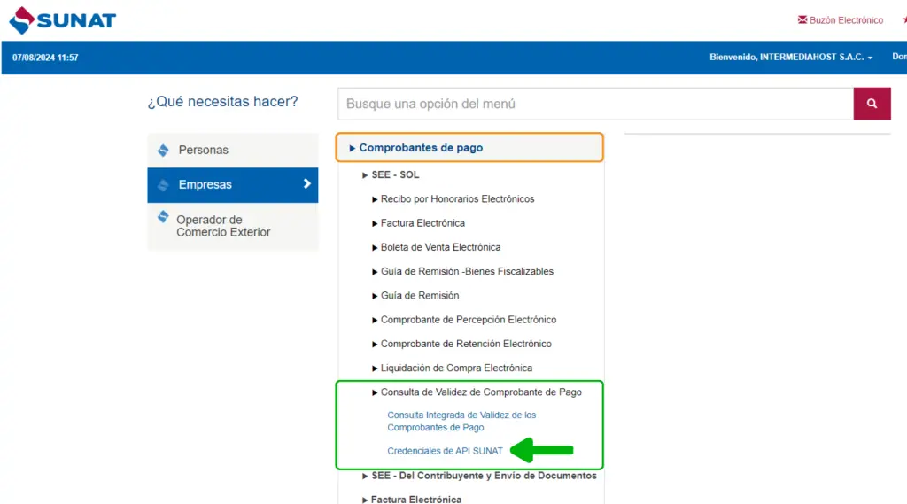Guía de remisión: Configuraciones previas — captura 3