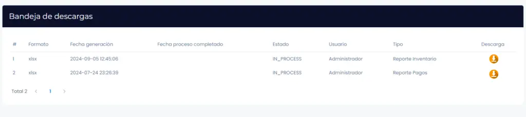 Reporte inventario — captura 6
